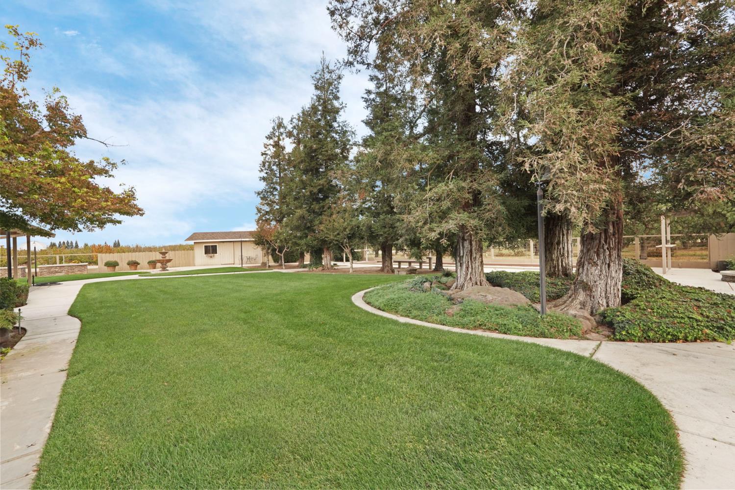 22022 South 99 Frontage Road Ripon, CA 95366 - Photo 39 of 46 a view of a garden with trees