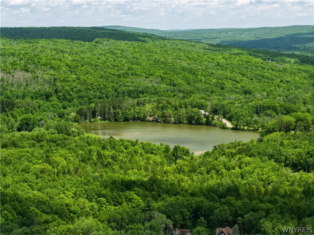 7324 Ramsey Road Belfast, NY 14711 - Photo 45 of 46 This is near by Rockville Lake