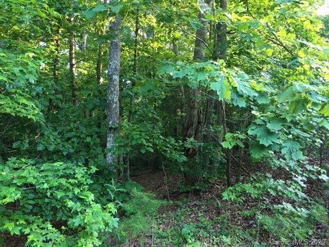 0 Grandview Circle Rutherfordton, NC 28139 - Photo 1 of 2