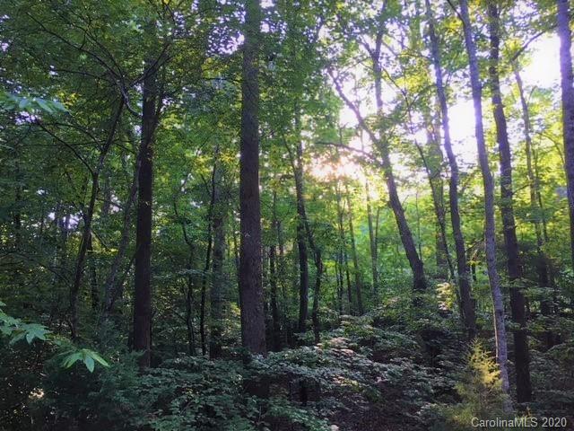 0 Grandview Circle Rutherfordton, NC 28139 - Photo 2 of 2