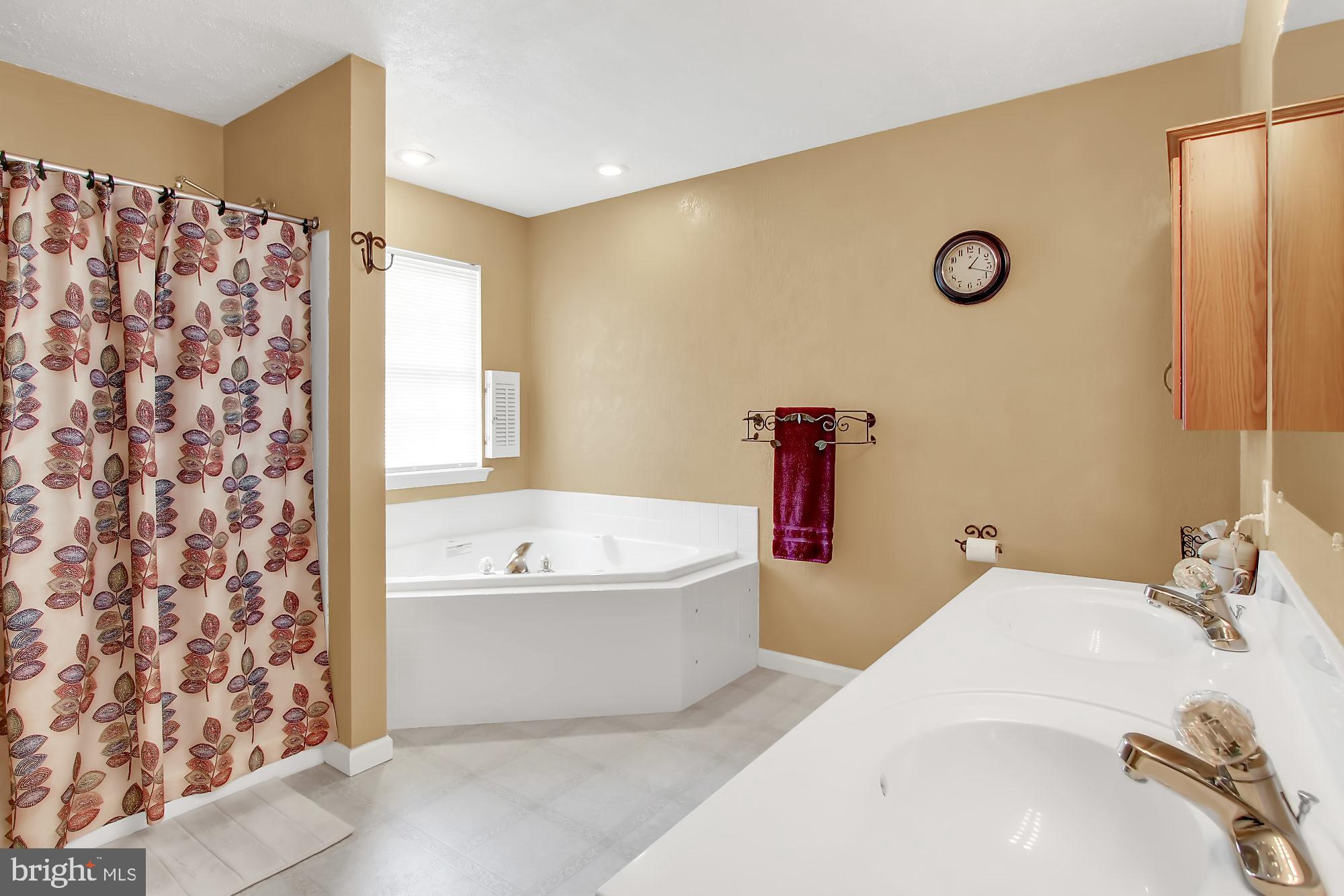 22 Roxberry Drive Reading, PA 19608 - Photo 29 of 36 Master bath with jacuzzi bath & double vanity.