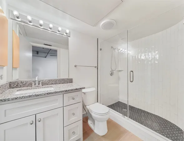 a bathroom with a granite countertop sink a toilet and a shower