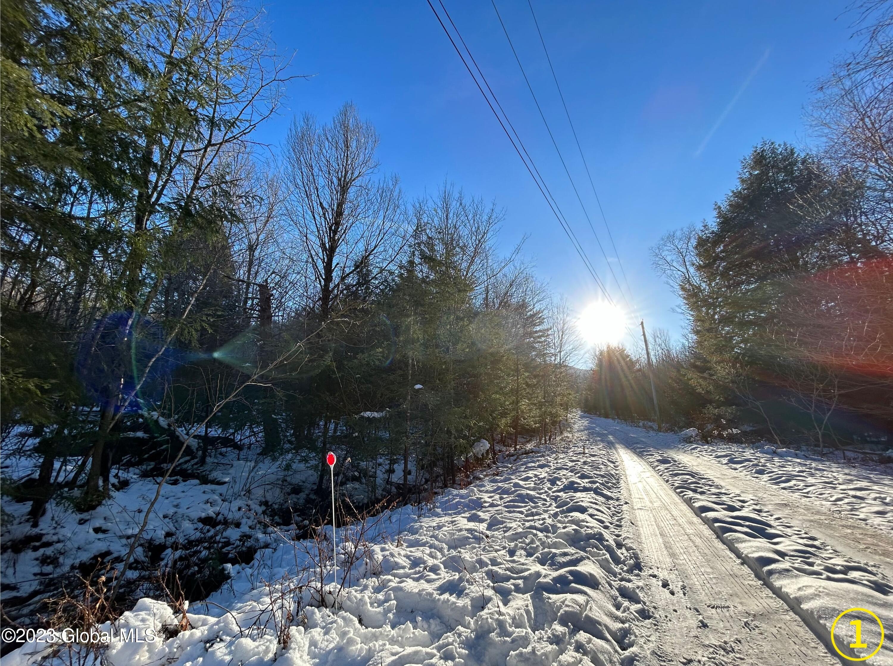 Lot 14 Pond View Road Gilboa, NY 12076 - Photo 1 of 7 #1