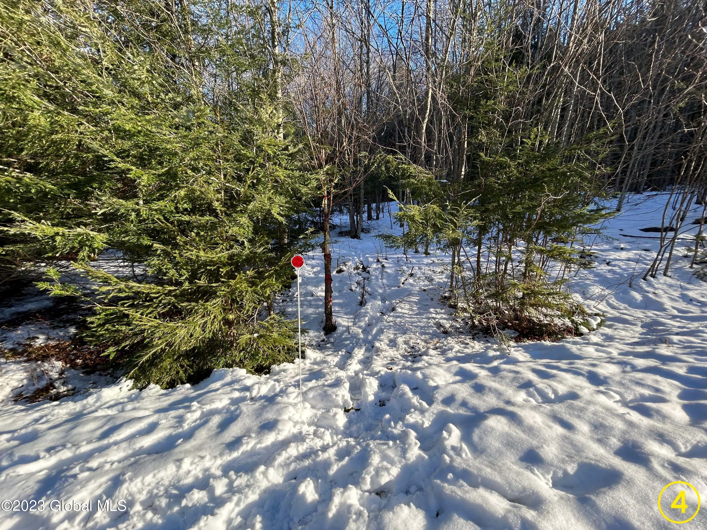 Lot 14 Pond View Road Gilboa, NY 12076 - Photo 4 of 7 4