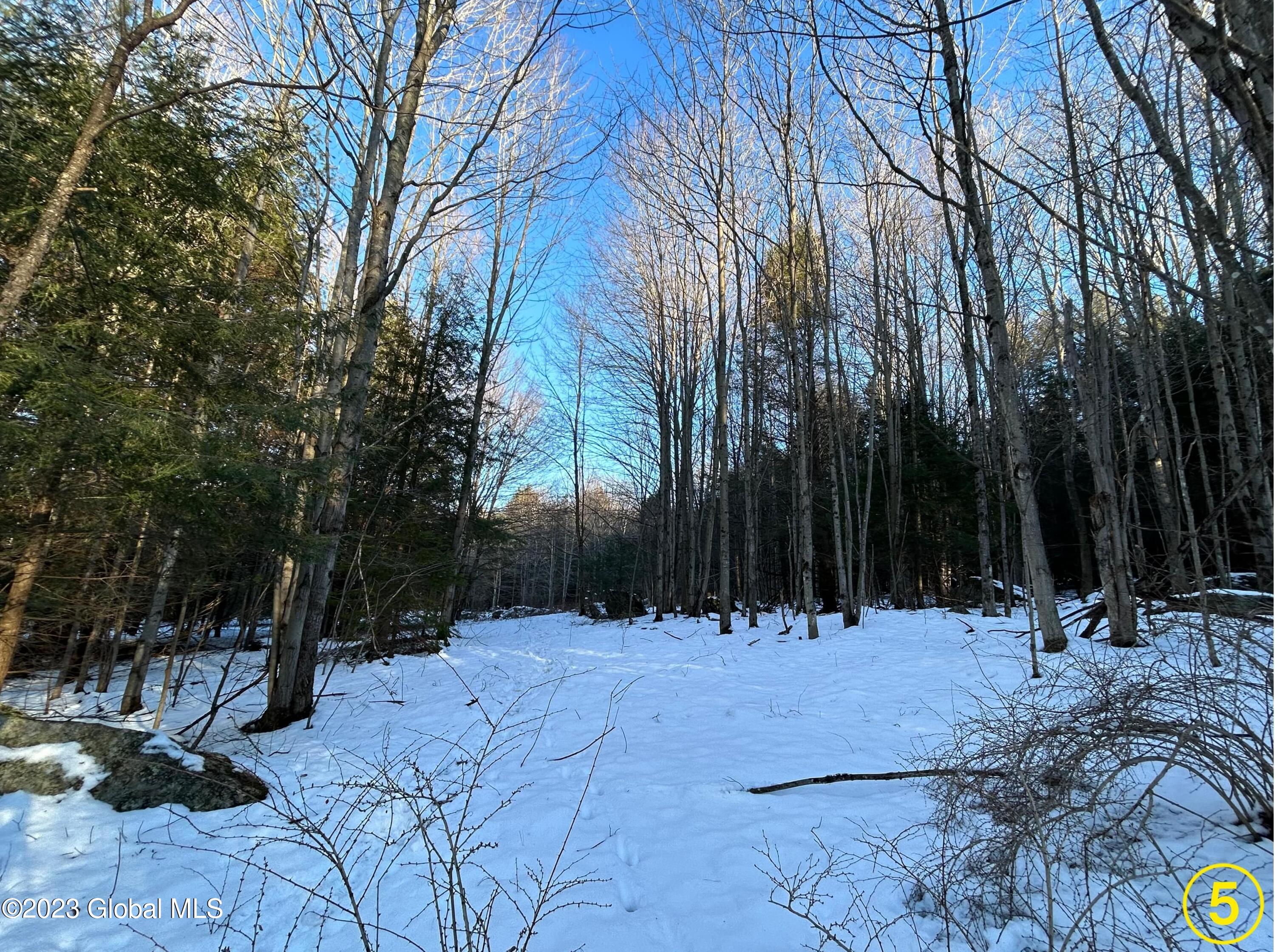 Lot 14 Pond View Road Gilboa, NY 12076 - Photo 5 of 7 5