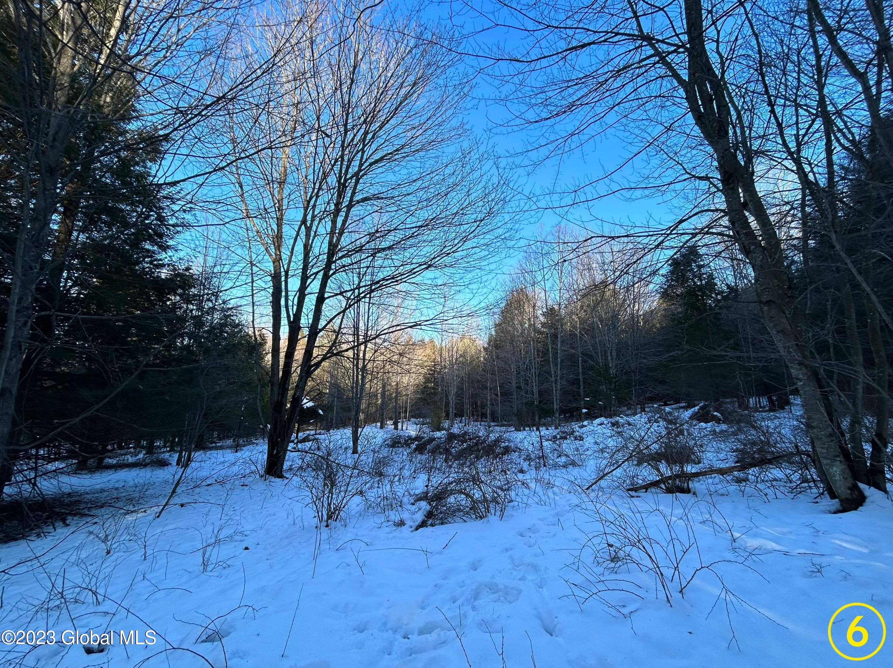 Lot 14 Pond View Road Gilboa, NY 12076 - Photo 6 of 7 6