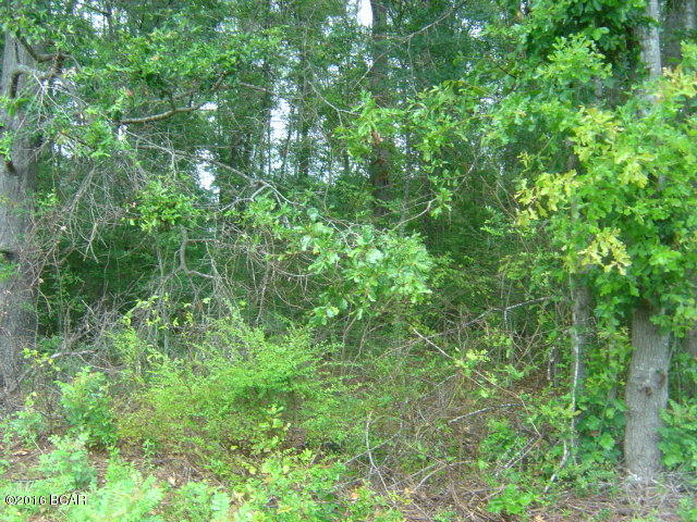 0 Lakepoint Road Alford, FL 32420 - Photo 5 of 6 Gallery Image 5