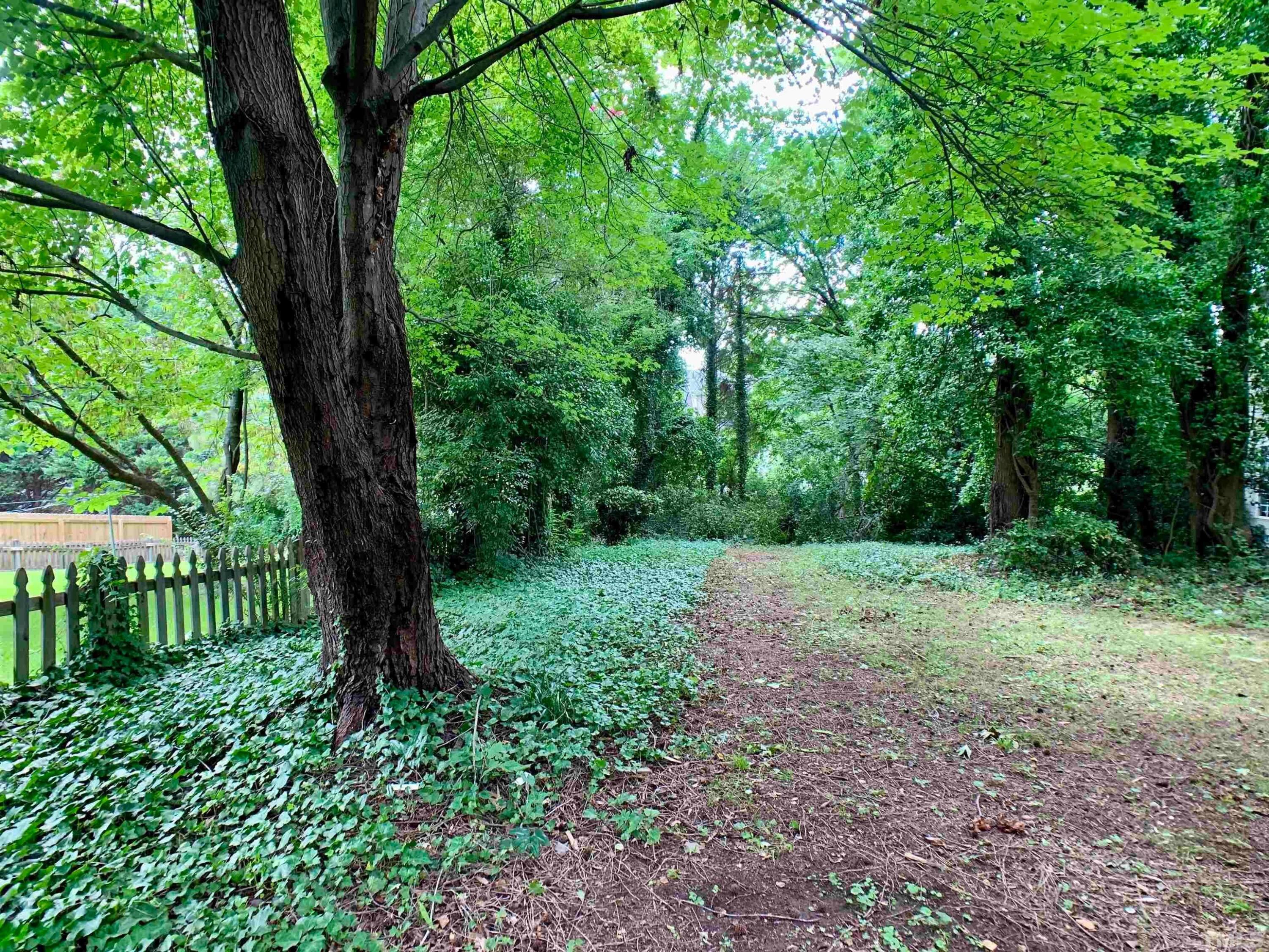1073 Mills Street Raleigh, NC 27608 - Photo 20 of 21 Photo #20