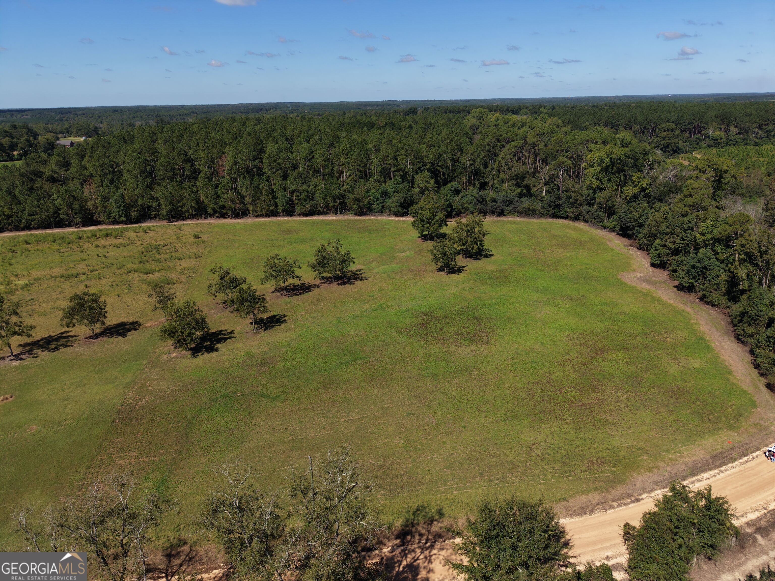 0 Cleon Shuman Road Collins, GA 30421 - Photo 1 of 8 Gallery Image 1
