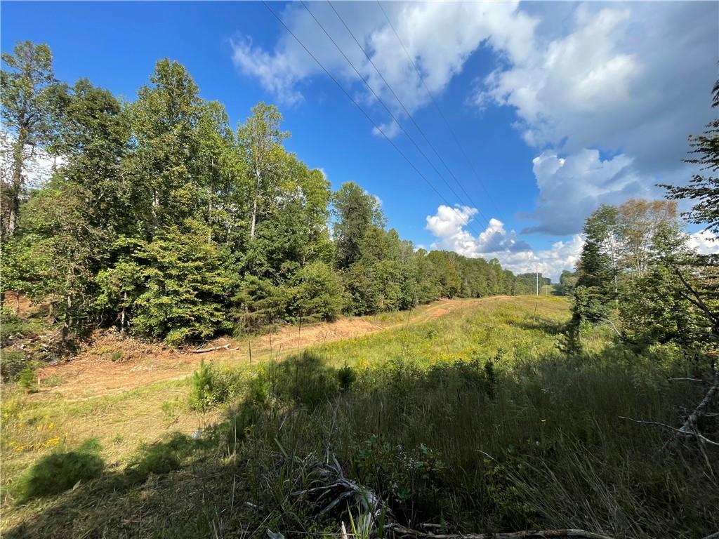 a view of a yard with a tree