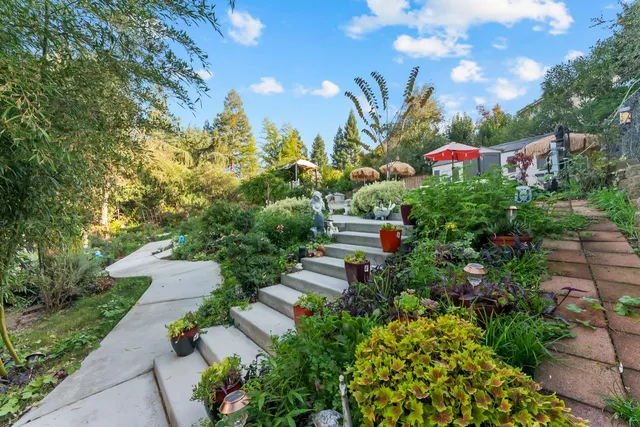 a view of a back yard