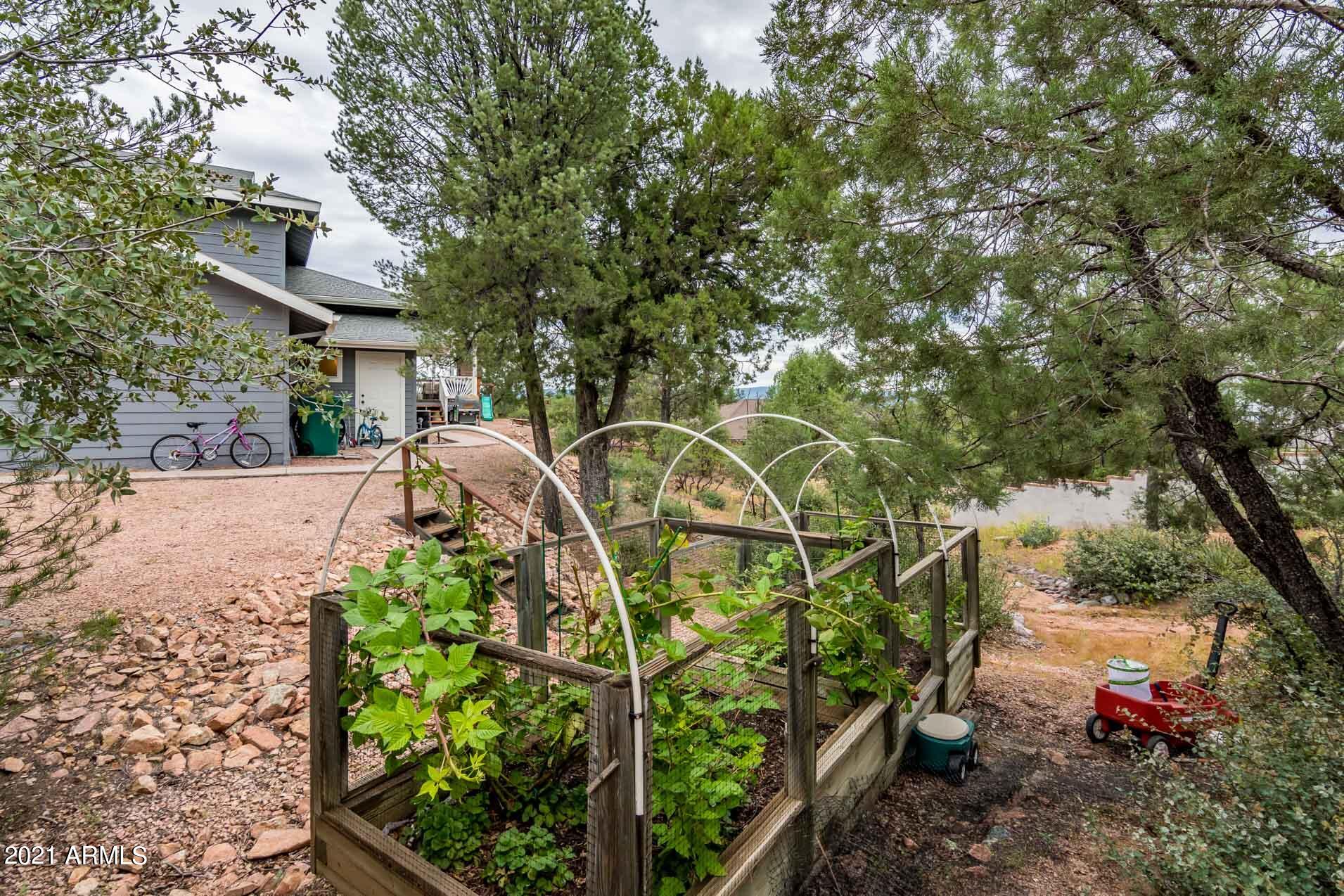 1113 South Mud Springs Road Payson, AZ 85541 - Photo 44 of 50 Veggies!