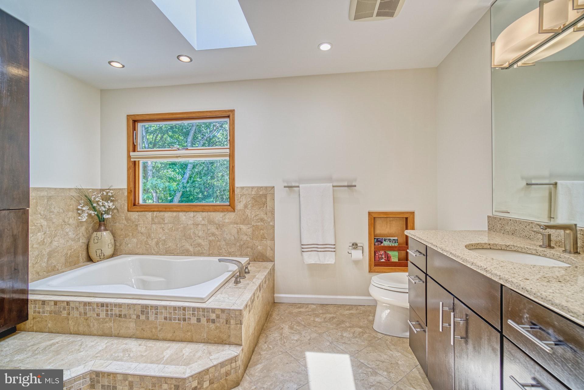 11959 Grey Squirrel Lane Reston, VA 20194 - Photo 22 of 47 Luxury Master Bathroom