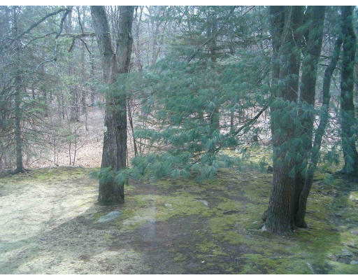 46 Stillman Road Lynnfield, MA 01940 - Photo 5 of 5 Gallery Image 5