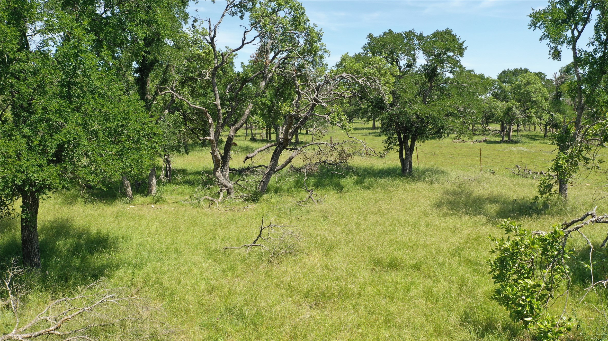 3215 County Road 305 Jarrell, TX 76537 - Photo 8 of 23