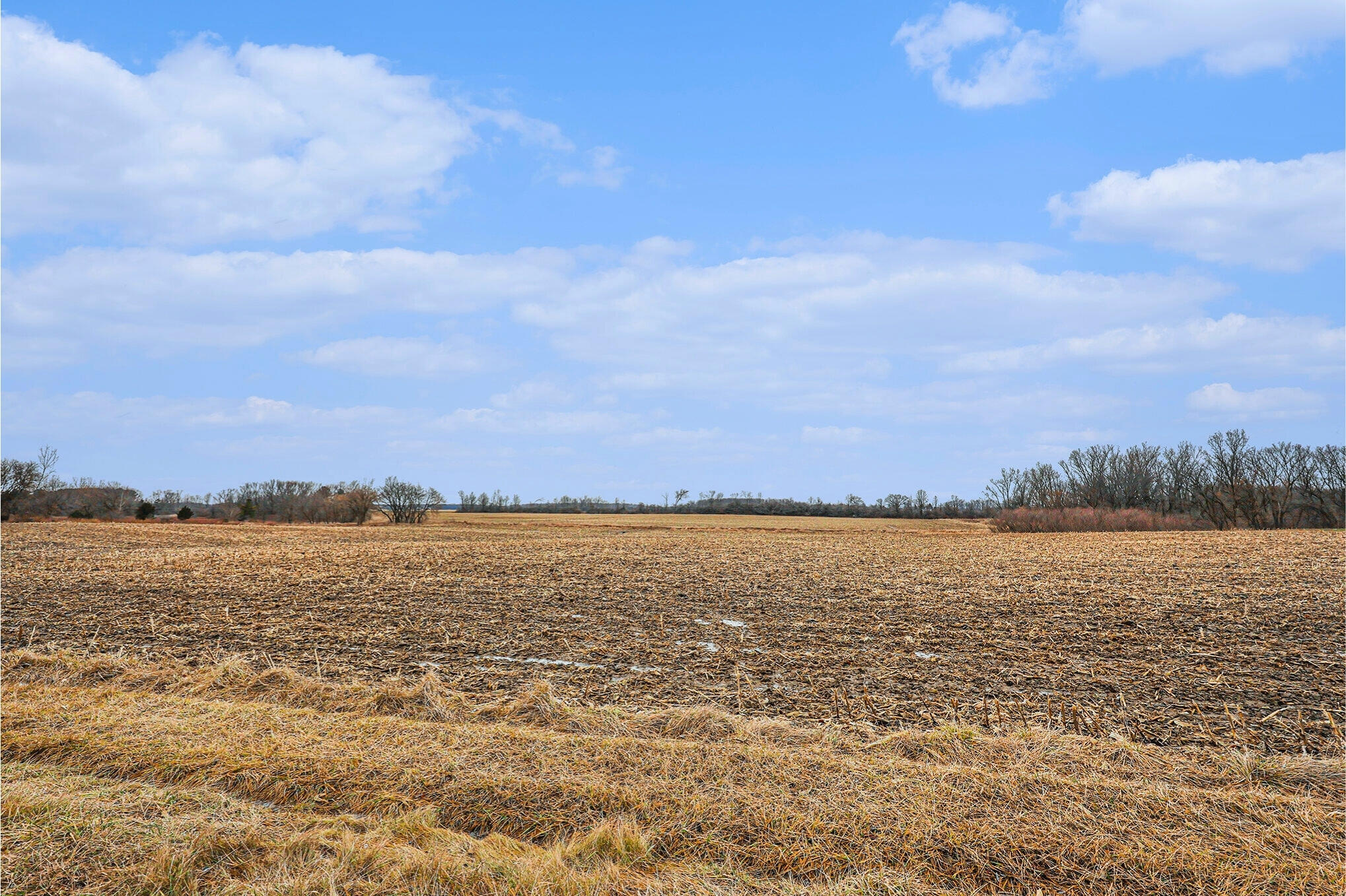 Vl Galbraith Line Road Yale, MI 48097 - Photo 12 of 16 Vacant Land_Galbraith Line_12