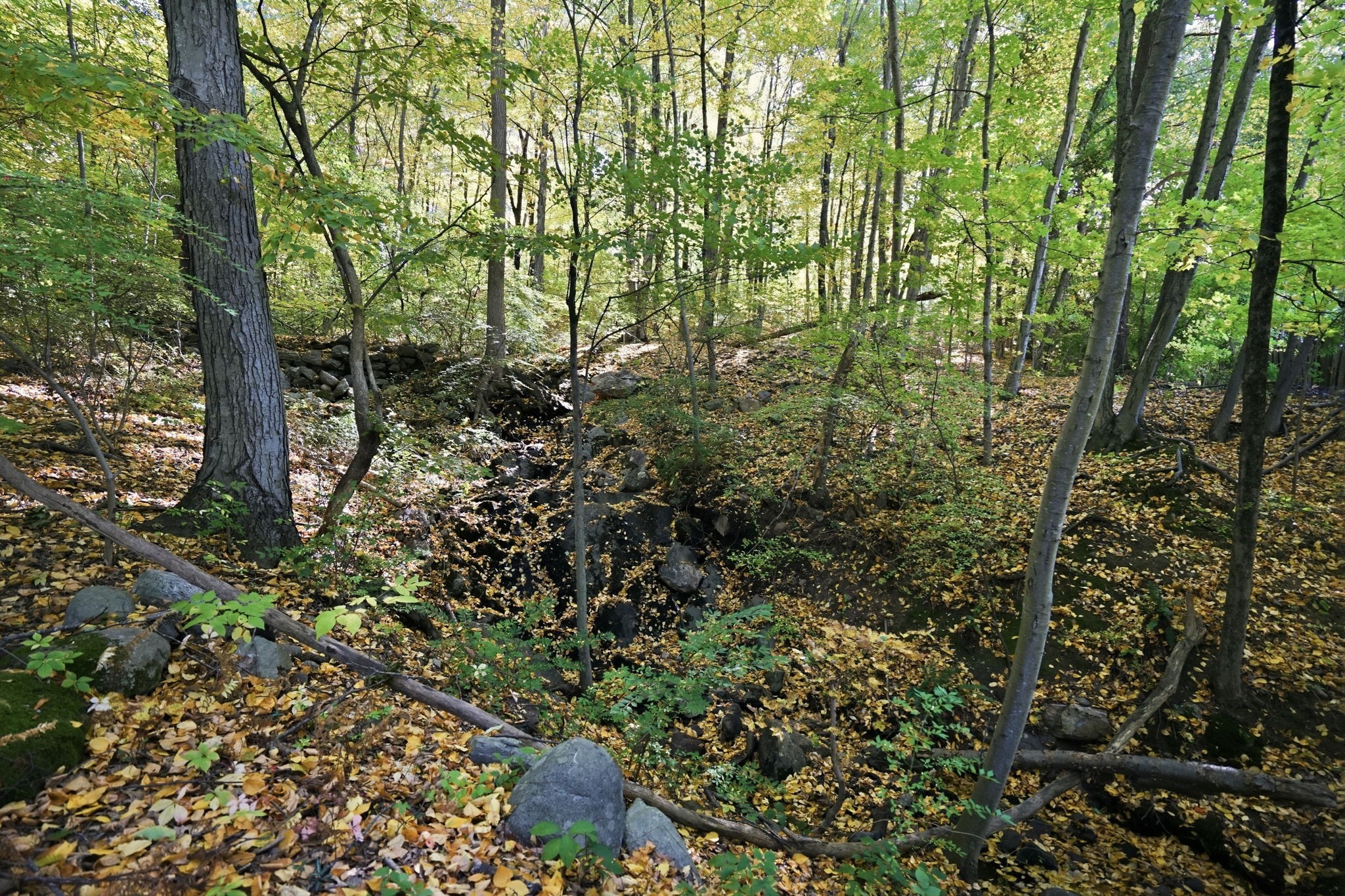 338 Wilbraham Road Hampden, MA 01036 - Photo 11 of 39 Gallery Image 11