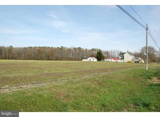 6621 Reliance Road Federalsburg, MD 21632 - Photo 2 of 5 Exterior (General)