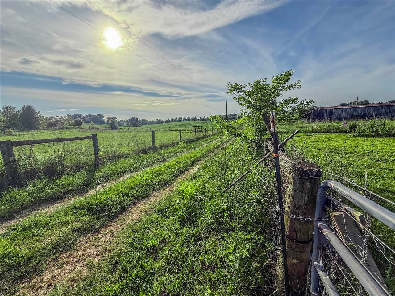 415 Billy London Road Center, KY 42214 - Photo 7 of 65 Gallery Image 7
