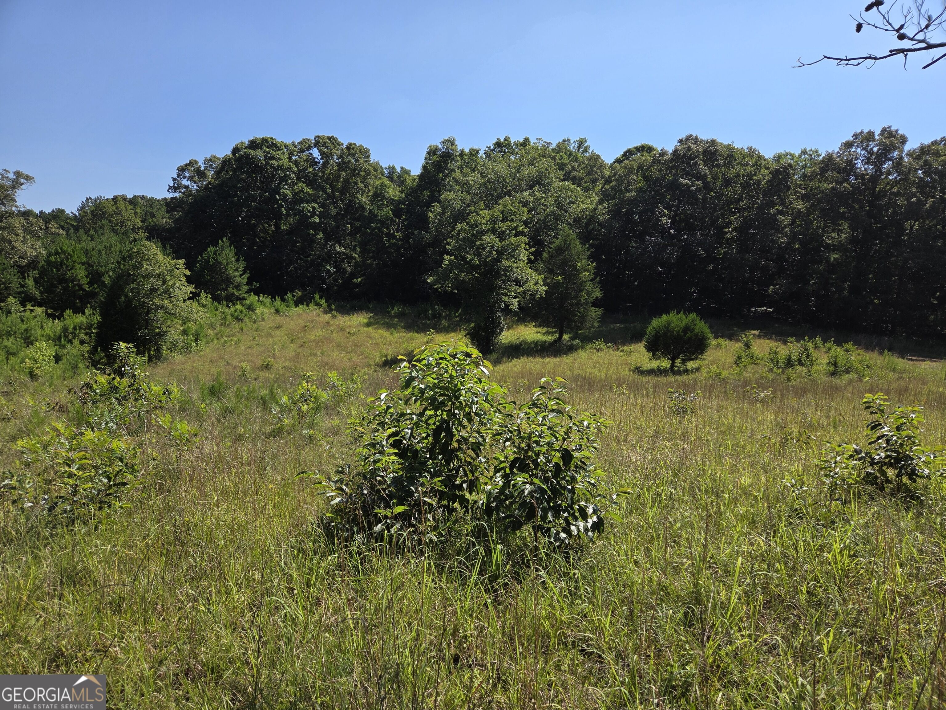 0 Millen Road Monticello, GA 31064 - Photo 4 of 28 Gallery Image 4