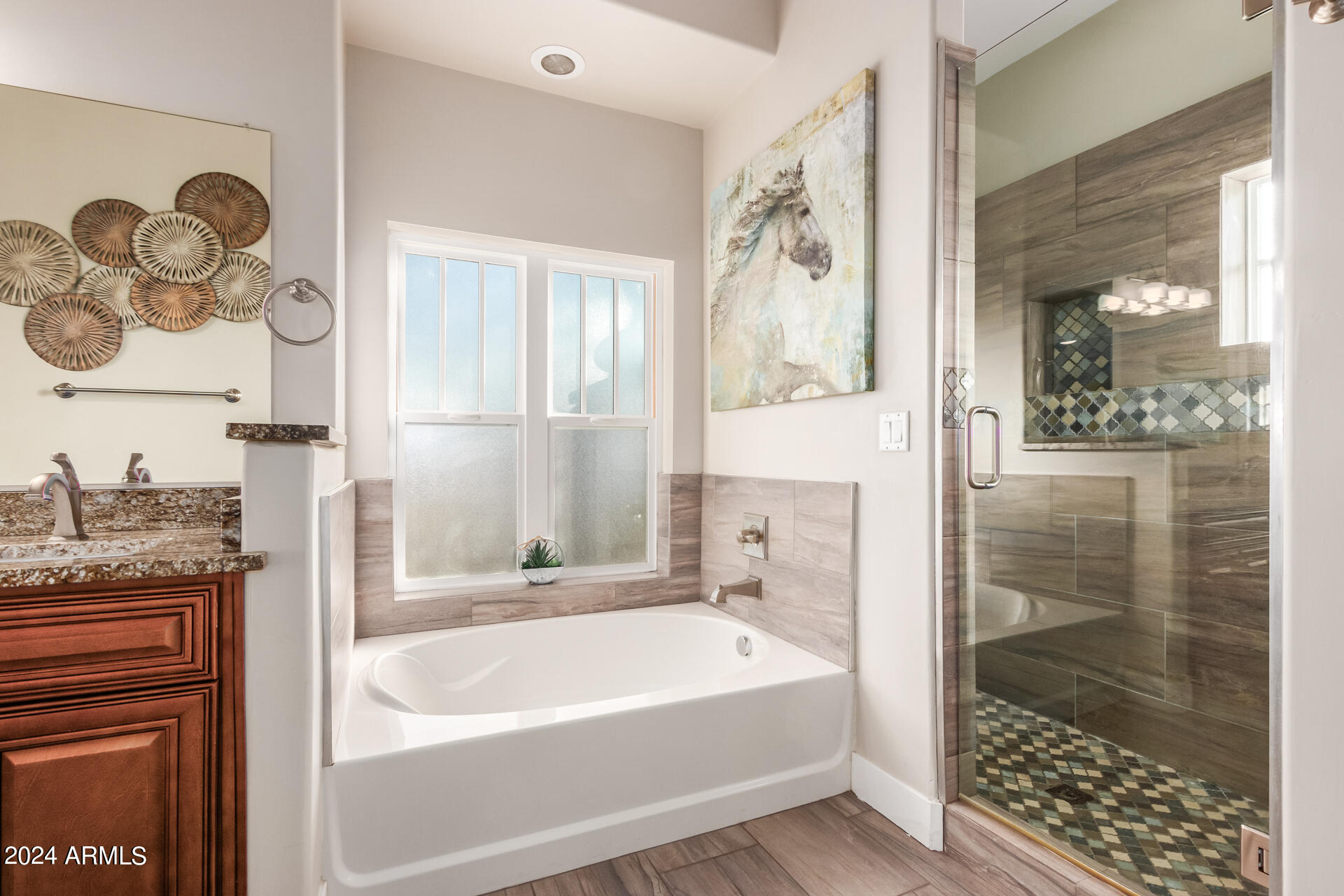 5169 North Idaho Road Apache Junction, AZ 85119 - Photo 44 of 107 Master tub and shower