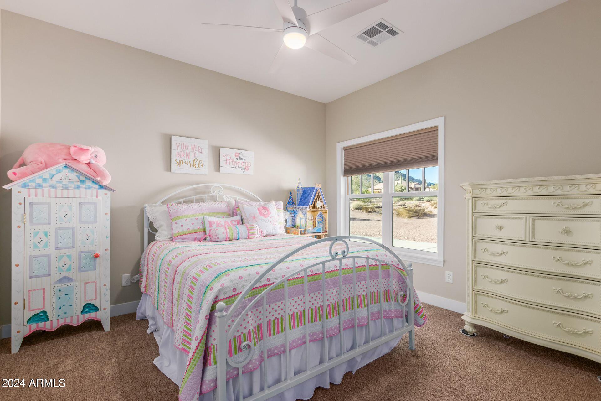 5169 North Idaho Road Apache Junction, AZ 85119 - Photo 49 of 107 3rd bedroom