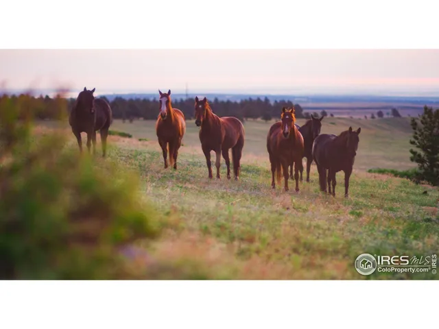 $4,900,000 | 11919 Highway 93, Boulder, CO 80303