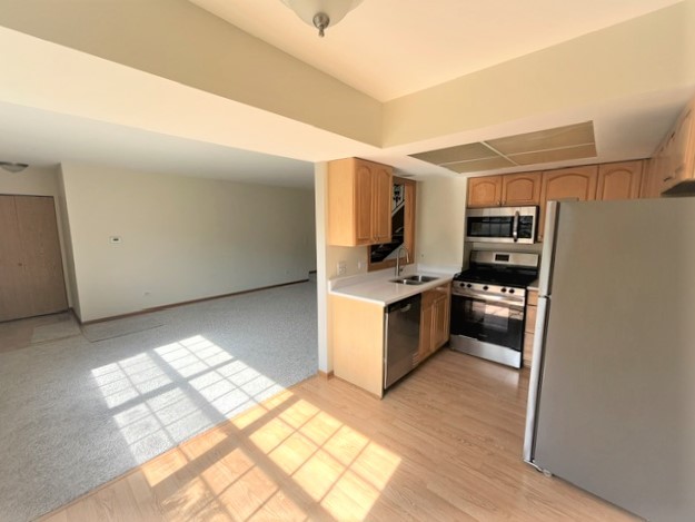 1262 Inverrary Lane, Unit 20C Palatine, IL 60074 - Photo 5 of 13