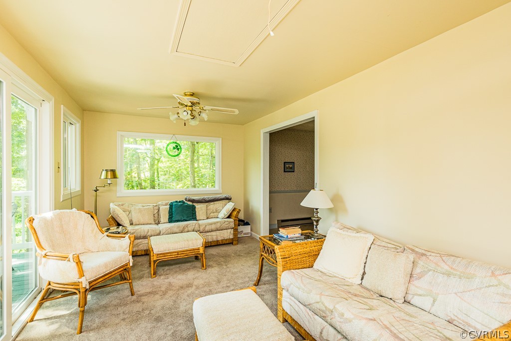 473 Bermuda Road Lancaster, VA 22503 - Photo 30 of 50 Gallery Image 30