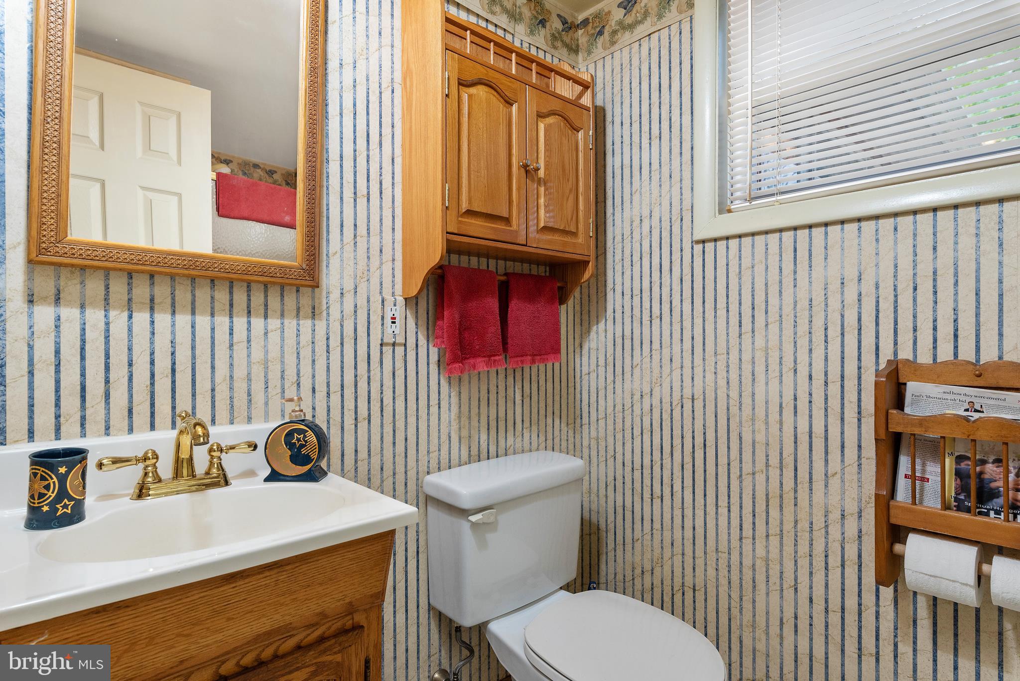 208 Sycamore Road Severna Park, MD 21146 - Photo 25 of 38 Lower Level Bathroom