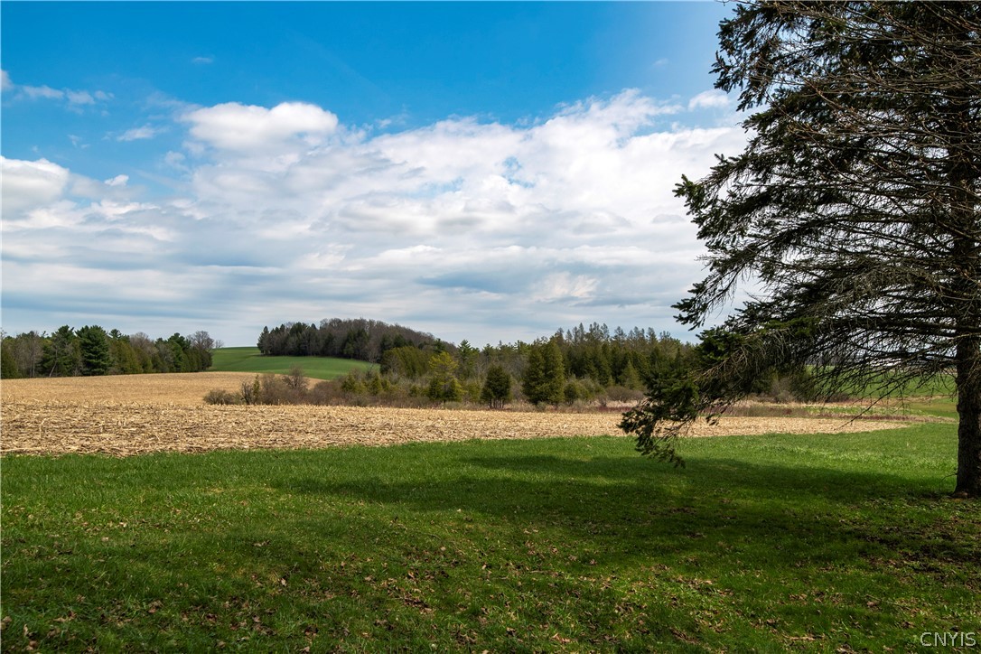 434 Mc Koons Road Columbia, NY 13439 - Photo 15 of 44