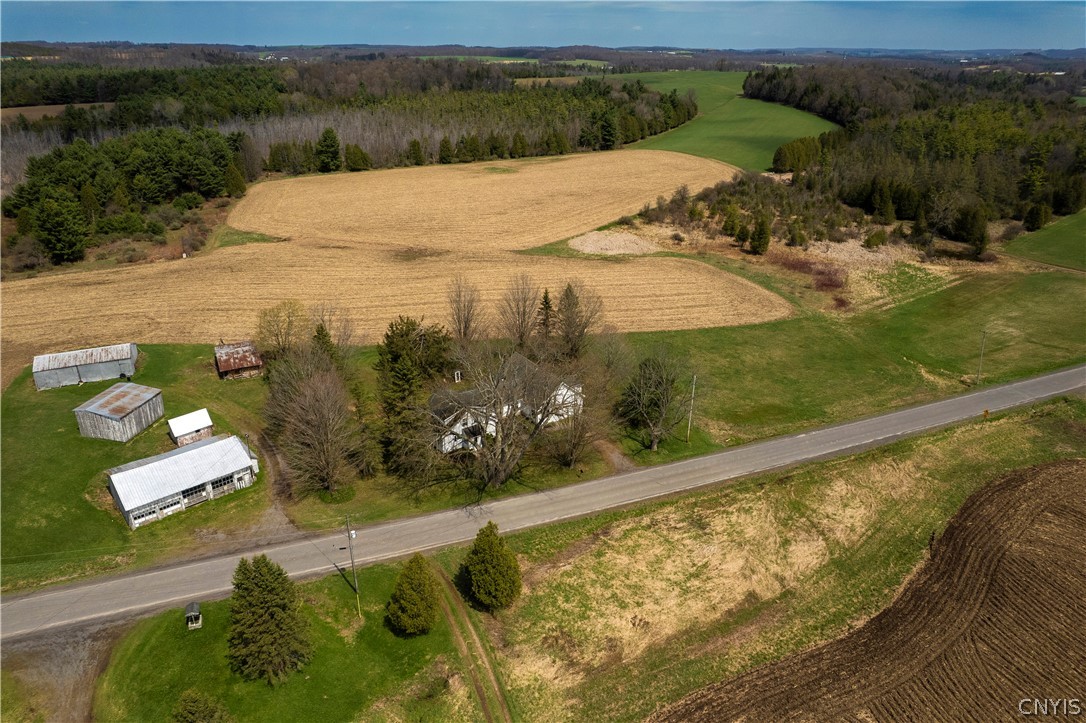 434 Mc Koons Road Columbia, NY 13439 - Photo 8 of 44