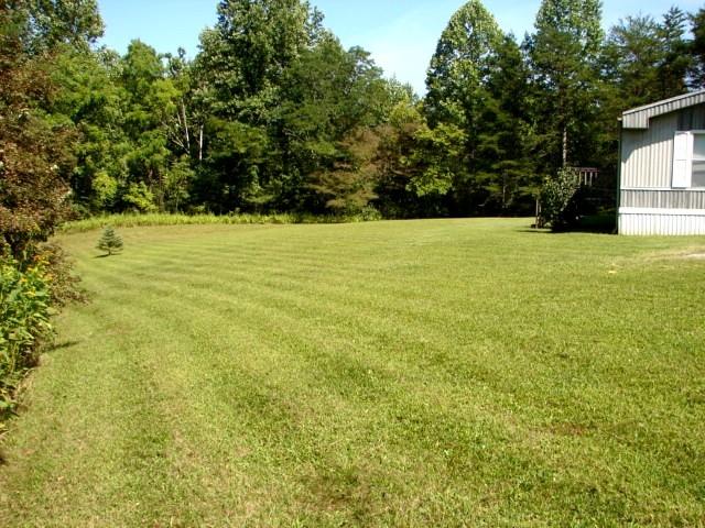 1020 Dryhill Road Ferrum, VA 24088 - Photo 8 of 9 a view of yard with swimming pool and trees in the background