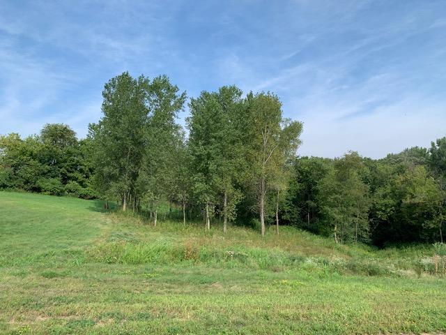 2951 Serenity Lane Northeast Rochester, MN 55906 - Photo 2 of 5
