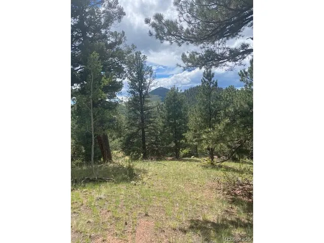 a view of a small yard