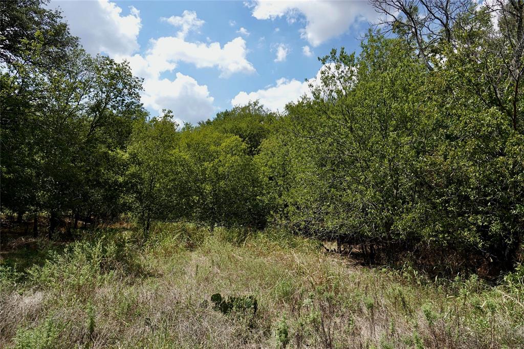 1407 West Maple Goldthwaite, TX 76844 - Photo 11 of 16 a view of outdoor space and trees