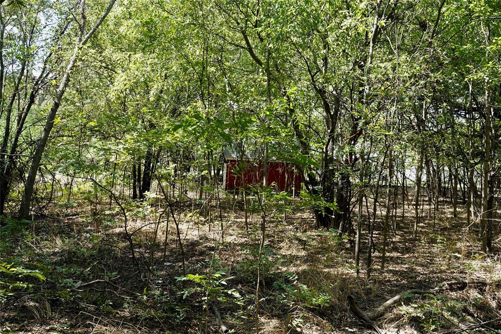 1407 West Maple Goldthwaite, TX 76844 - Photo 13 of 16