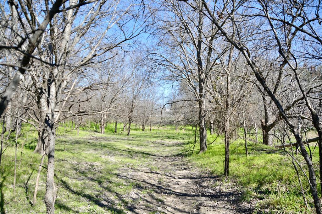 1407 West Maple Goldthwaite, TX 76844 - Photo 3 of 16 a big yard with lots of green space and plants