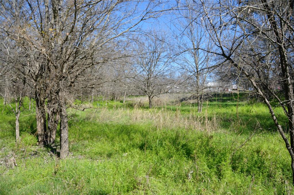 1407 West Maple Goldthwaite, TX 76844 - Photo 4 of 16 a view of a garden with a lake