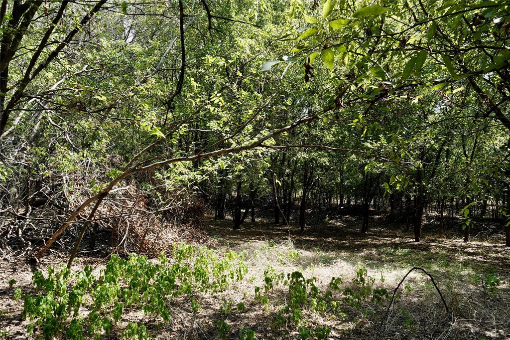 1407 West Maple Goldthwaite, TX 76844 - Photo 5 of 16