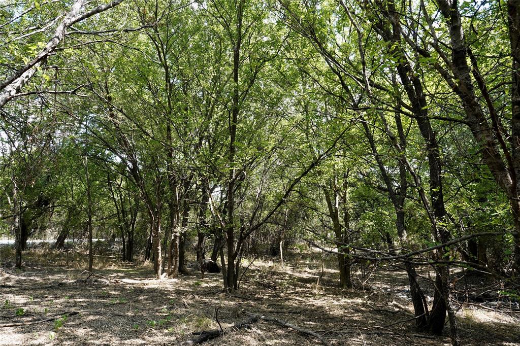 1407 West Maple Goldthwaite, TX 76844 - Photo 6 of 16 a view of outdoor space with deck and tree