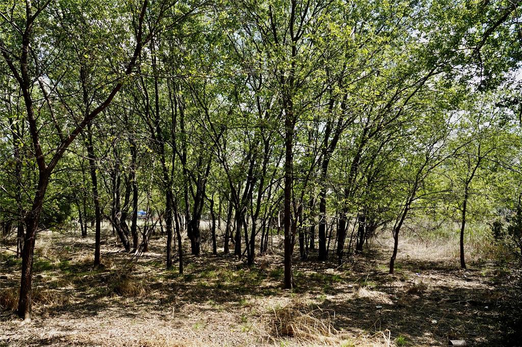 1407 West Maple Goldthwaite, TX 76844 - Photo 7 of 16 a view of a forest with trees in the background