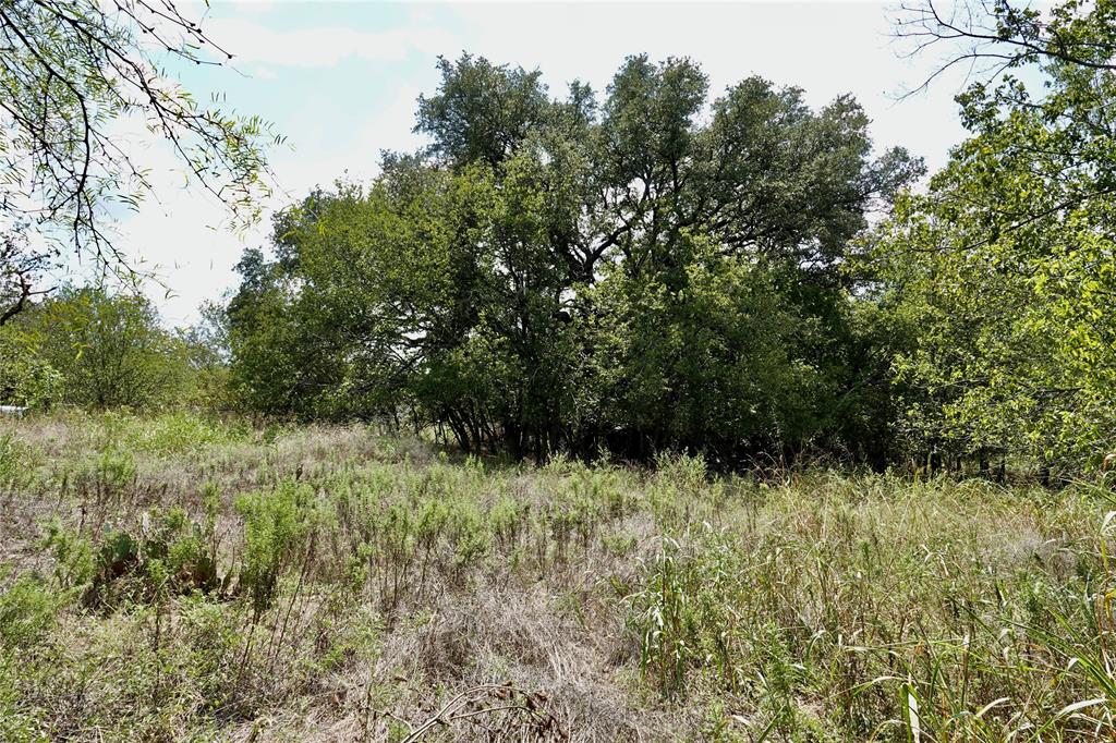 1407 West Maple Goldthwaite, TX 76844 - Photo 8 of 16 a view of a green field
