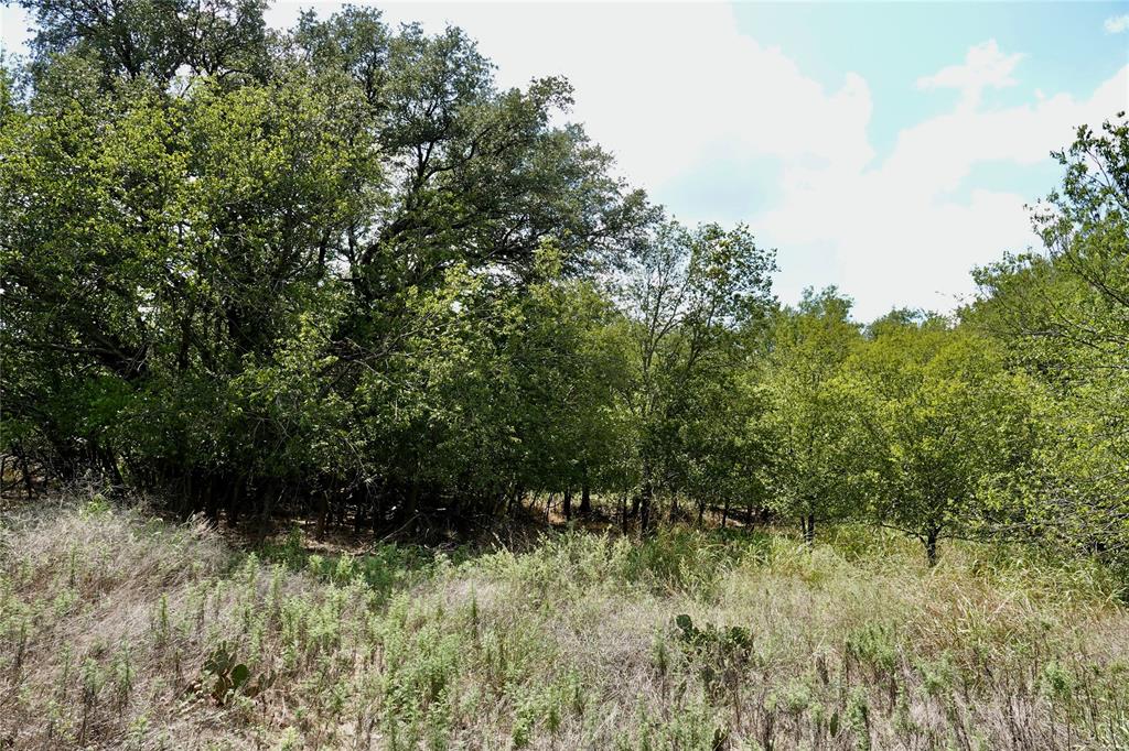 1407 West Maple Goldthwaite, TX 76844 - Photo 9 of 16 a view of a yard