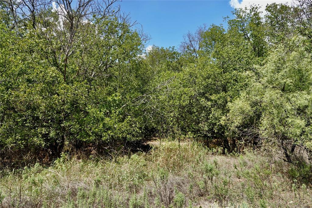 1407 West Maple Goldthwaite, TX 76844 - Photo 10 of 16 a view of a garden