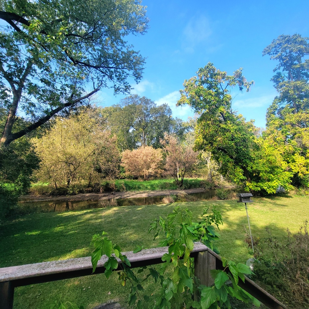 216 Edgebrook Road Wood Dale, IL 60191 - Photo 18 of 25 a view of a lake with a yard