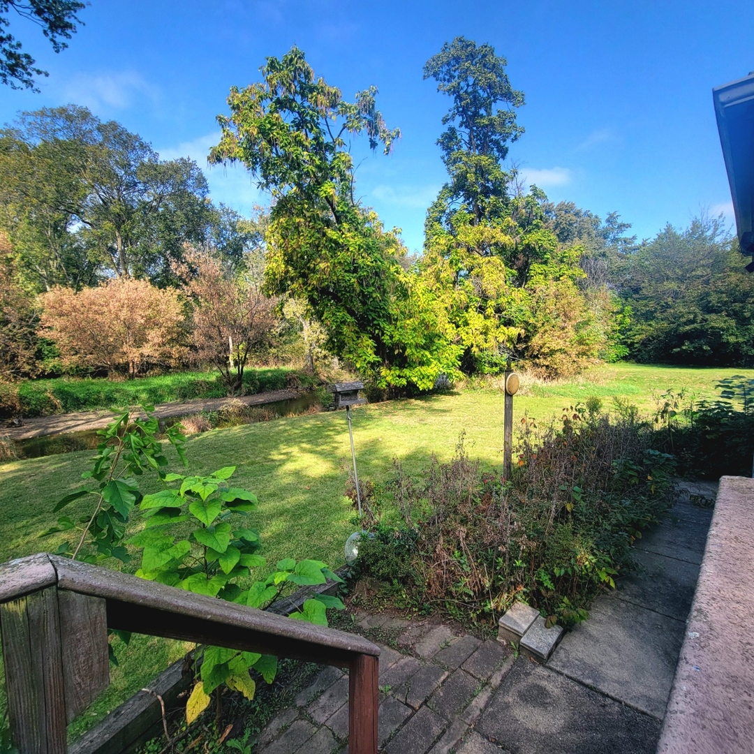 216 Edgebrook Road Wood Dale, IL 60191 - Photo 19 of 25 a view of a yard with a tree