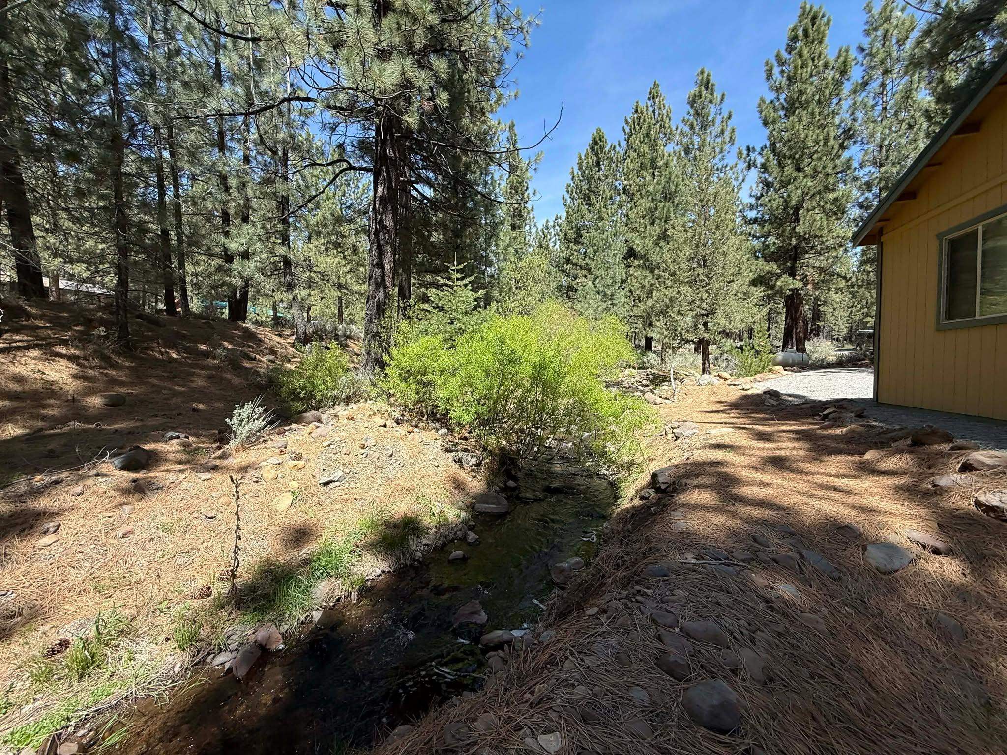 93 Juniper Road Beckwourth, CA 96129 - Photo 25 of 35