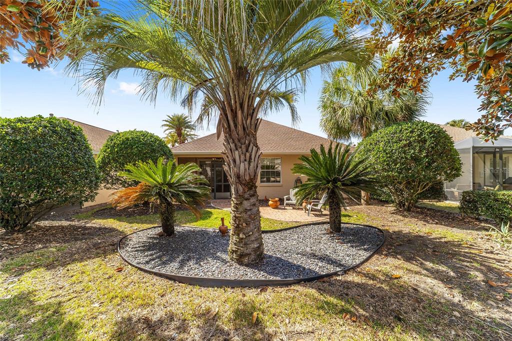 8434 Southwest 82nd Loop Ocala, FL 34481 - Photo 40 of 41 a view of a yard with palm trees