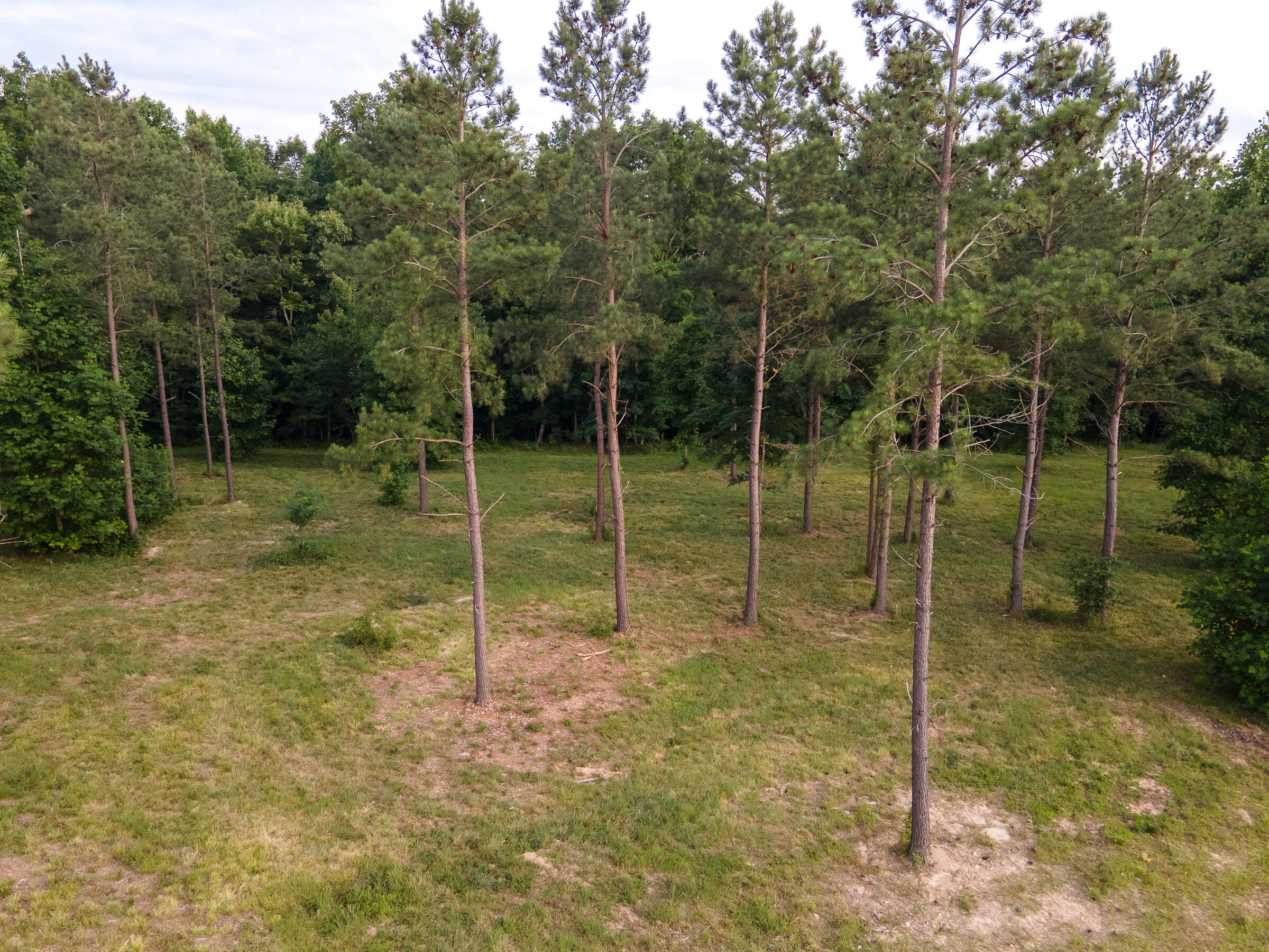 0 Pappy Road, Unit 208 Jasper, TN 37347 - Photo 2 of 5 Pappy-1